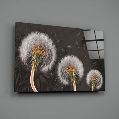 Three Dandelion Seed Heads on Charcoal Glass Wall Art