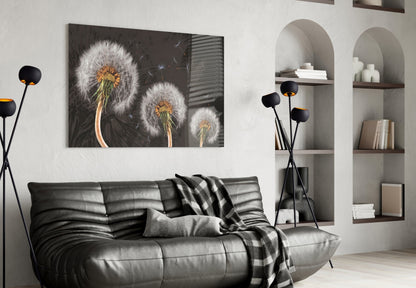 Three Dandelion Seed Heads on Charcoal Glass Wall Art