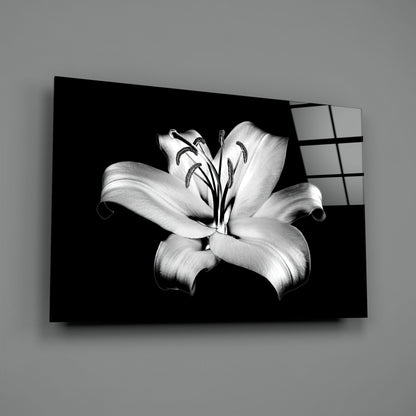 Black and white lily flower photograph printed on glass wall art panel with grid pattern, mounted at angle against gray wall.