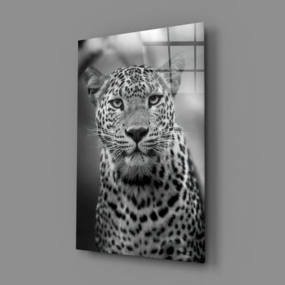 Bold Stare Leopard Portrait Glass Wall Art