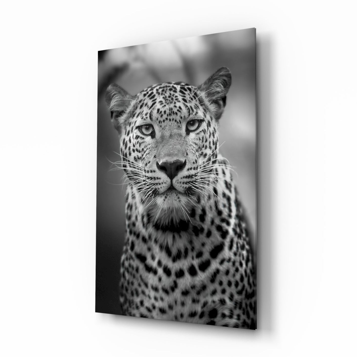Bold Stare Leopard Portrait Glass Wall Art