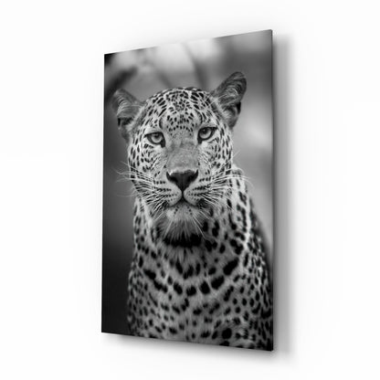 Bold Stare Leopard Portrait Glass Wall Art
