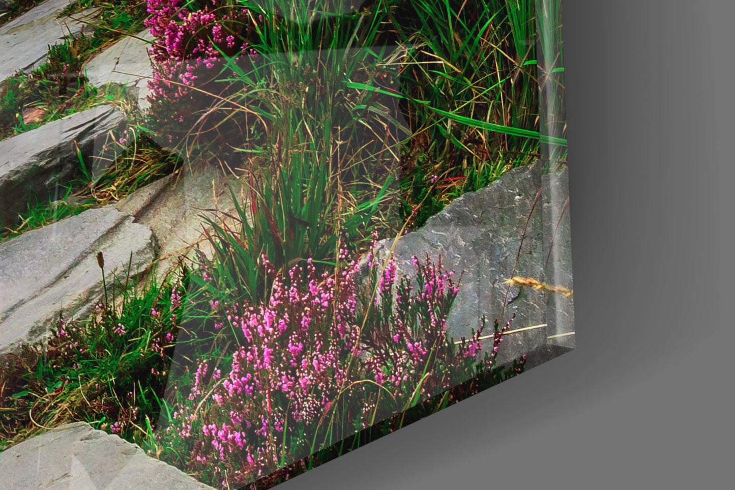 Close-up of concrete planter with magenta flowers and ornamental grasses beside gray wall surface.