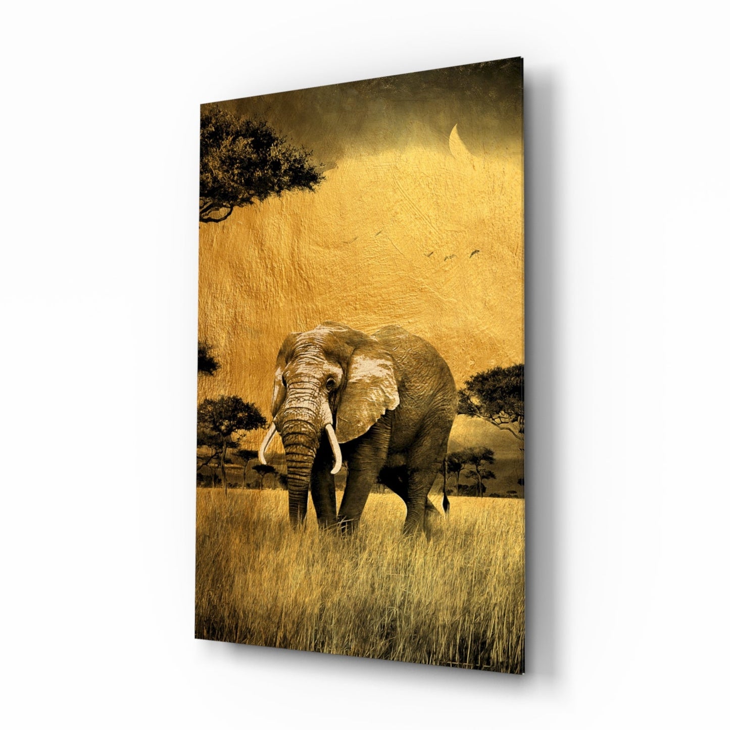 Golden Savanna Acacia Elephant Glass Wall Art