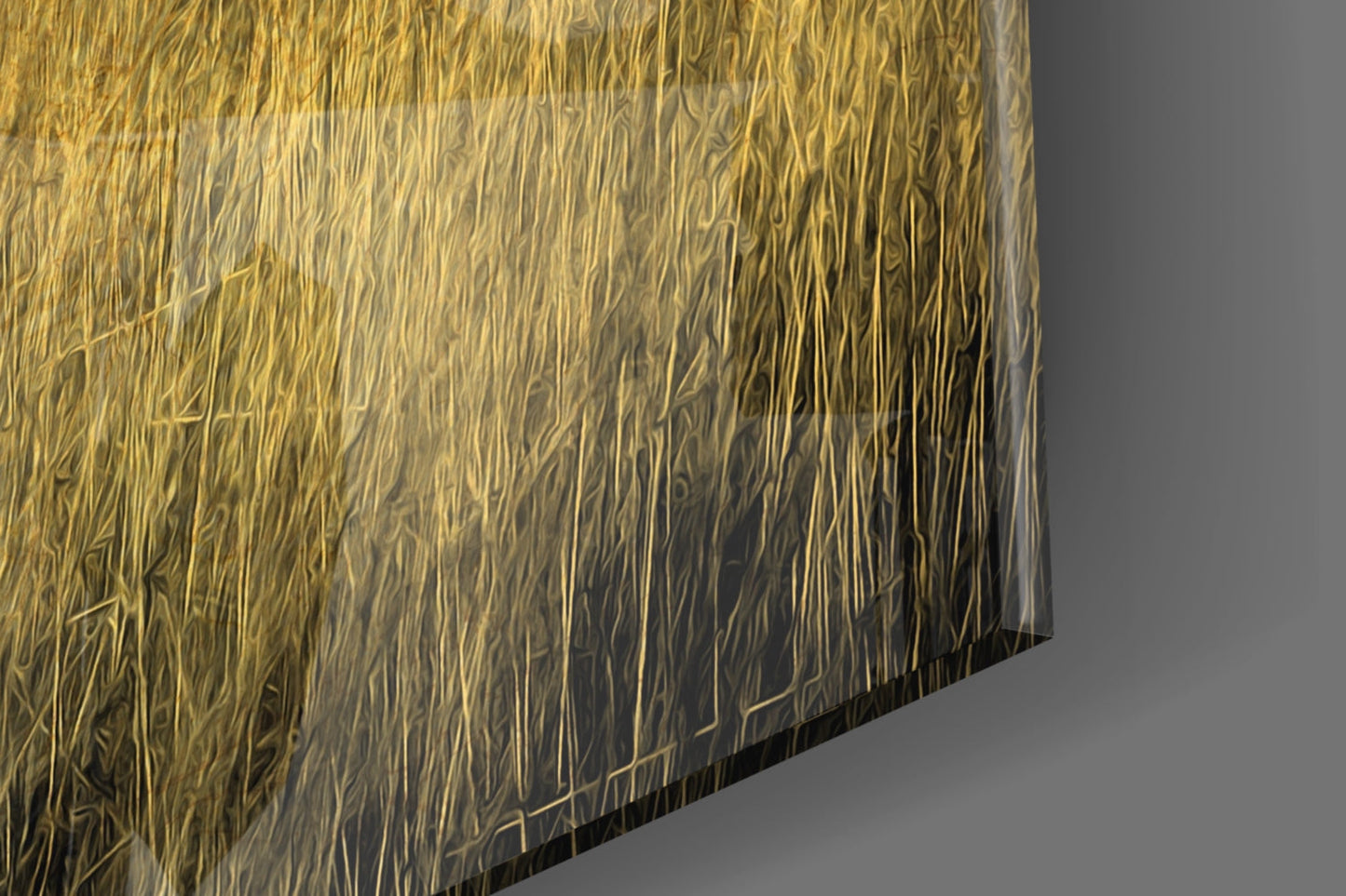 Golden Savanna Acacia Elephant Glass Wall Art
