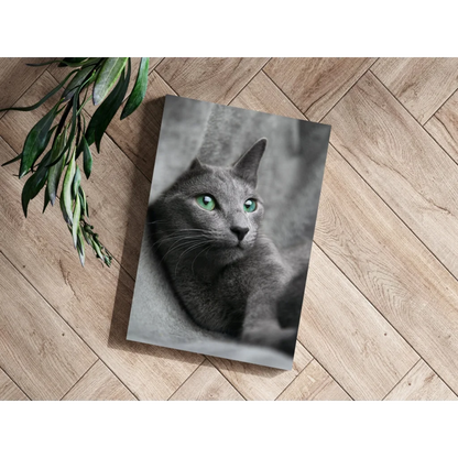Mesmerizing Green Eyed Gray Cat Insigne Aluminum Prints | Modern Wall Art Decor | vintageantiquesgifts.com