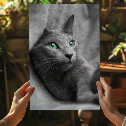 Striking black-and-white gray cat with green eyes on insigne aluminum prints