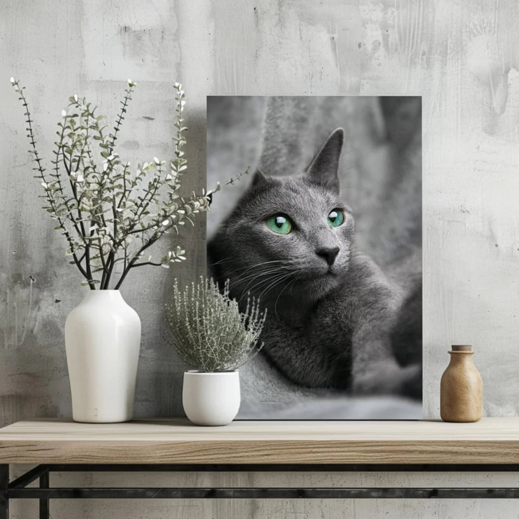 Mesmerizing Green Eyed Gray Cat Insigne Aluminum Prints | Glass Wall Art Print | vintageantiquesgifts.com