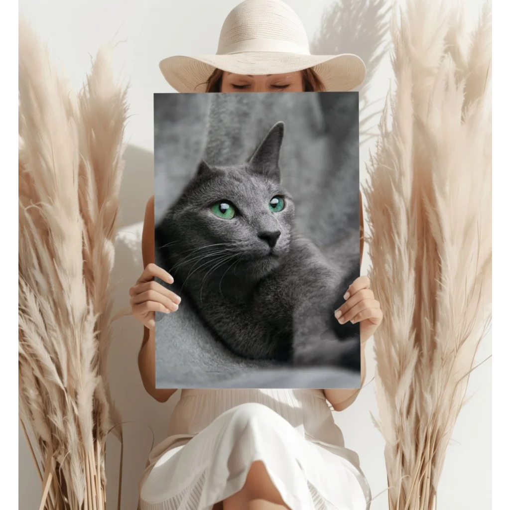Mesmerizing Green Eyed Gray Cat Insigne Aluminum Prints | Contemporary Home Wall Art | vintageantiquesgifts.com