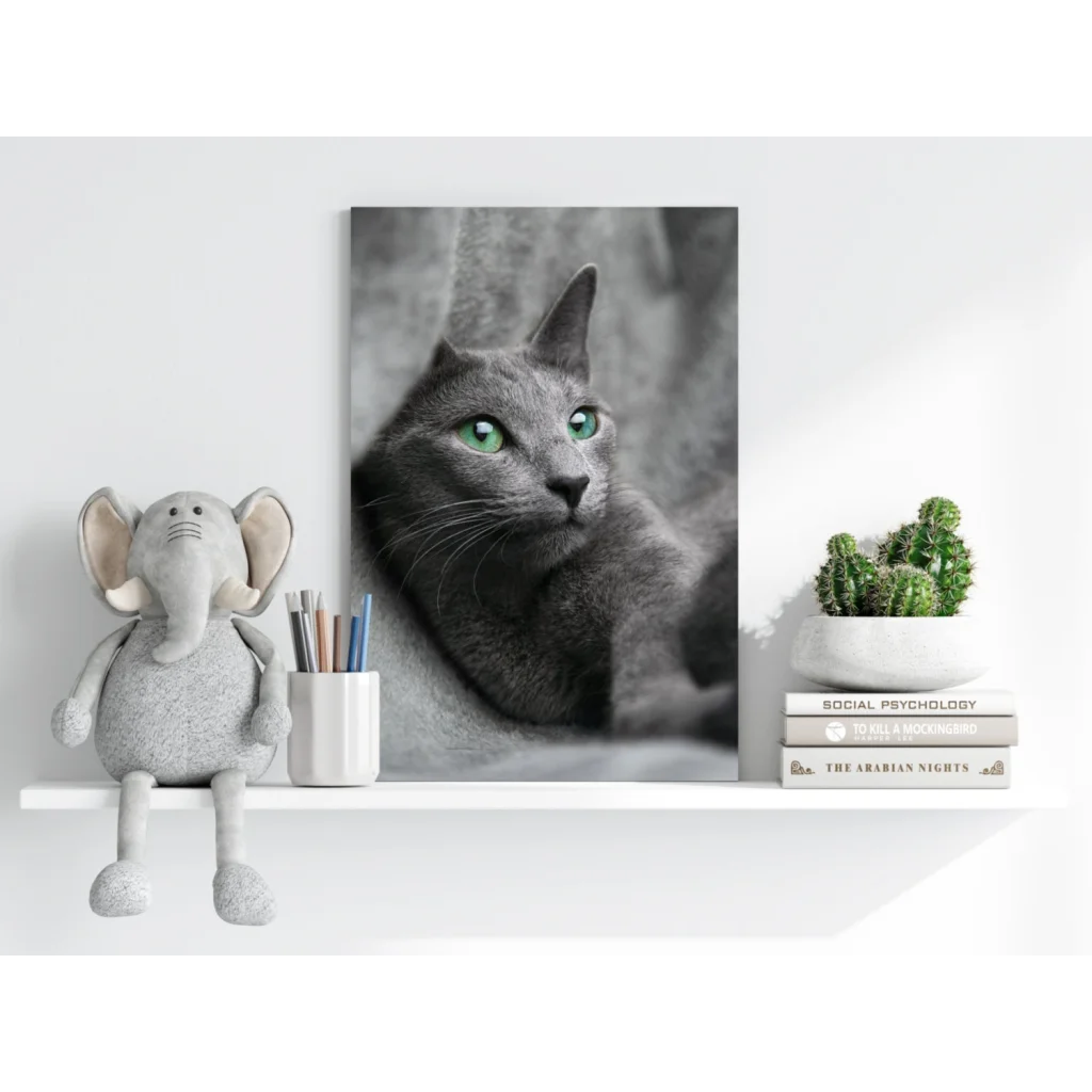 Striking gray cat with green eyes on Insigne aluminum print
