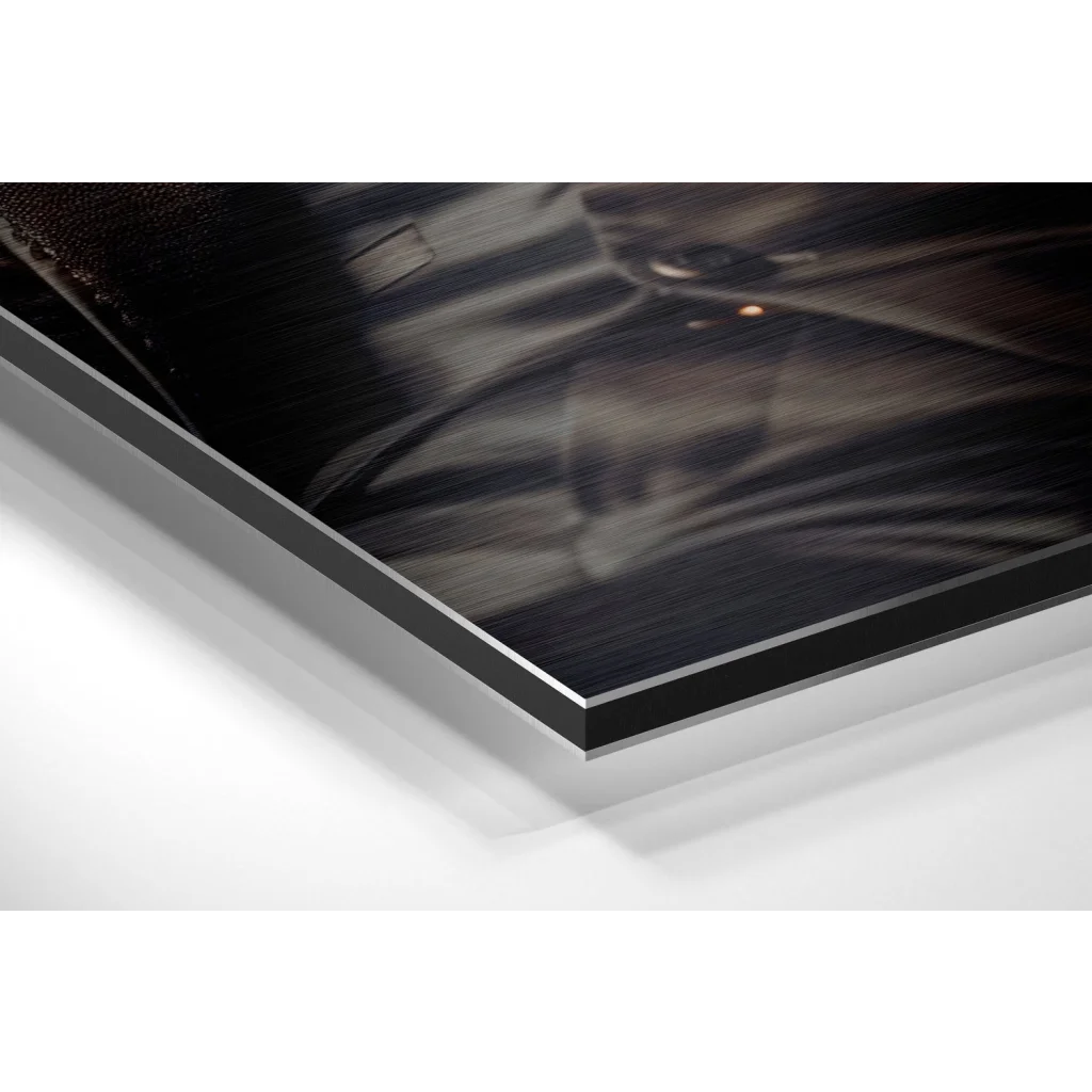 Sleek cat in suit brushed aluminium dibond wall art print