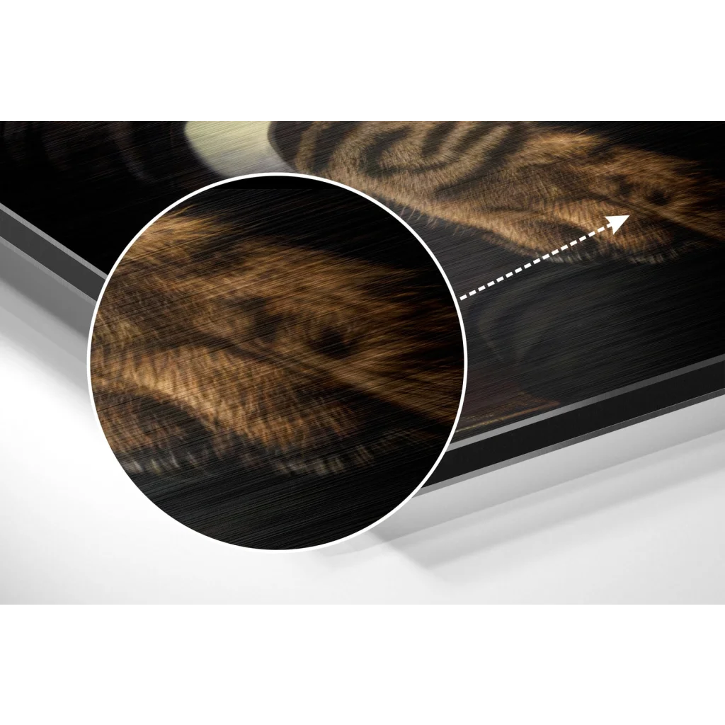 Stunning Brushed Aluminium Dibond Prints That Pop | Modern Wall Art Decor | vintageantiquesgifts.com