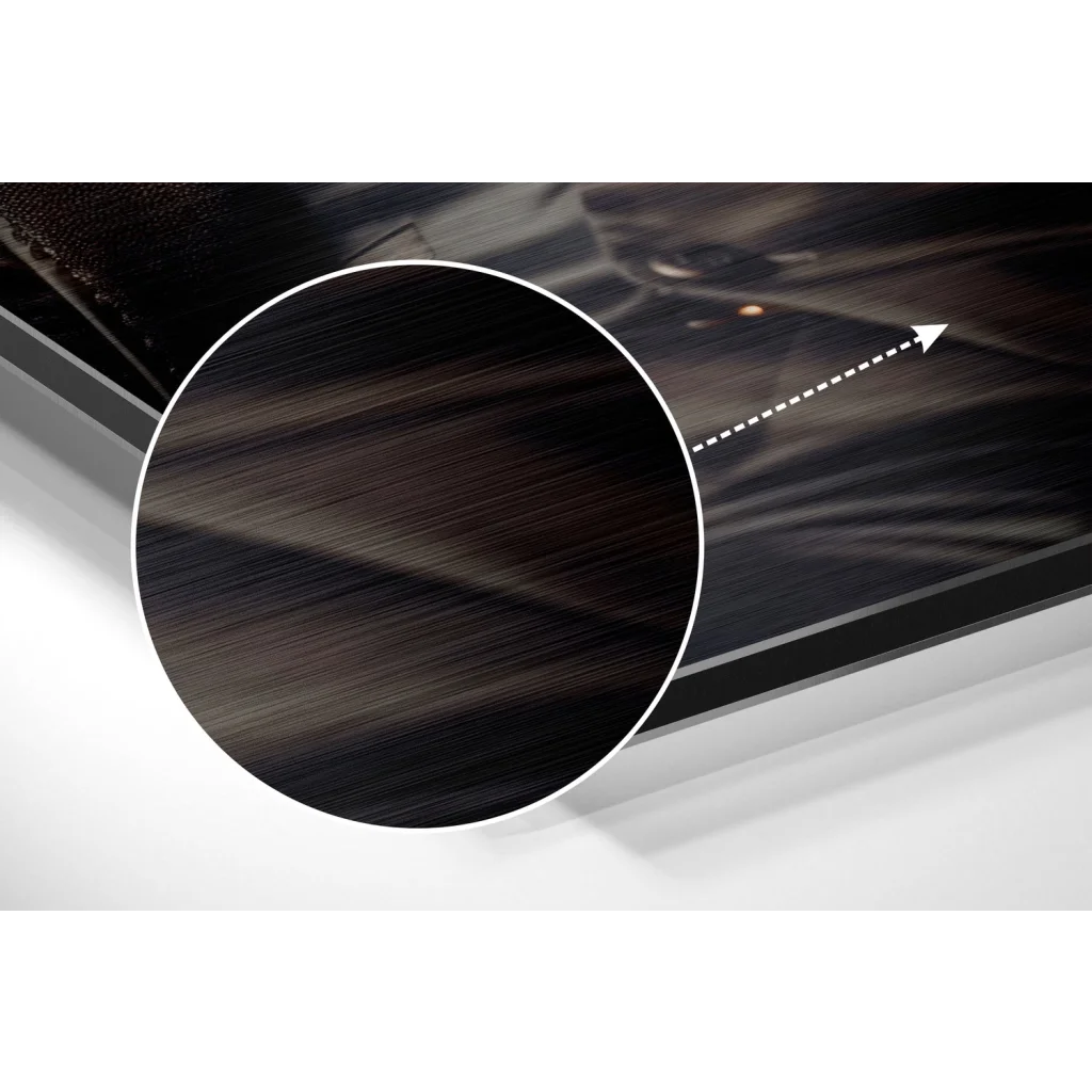 Sleek cat in suit brushed aluminium dibond wall art on black frame