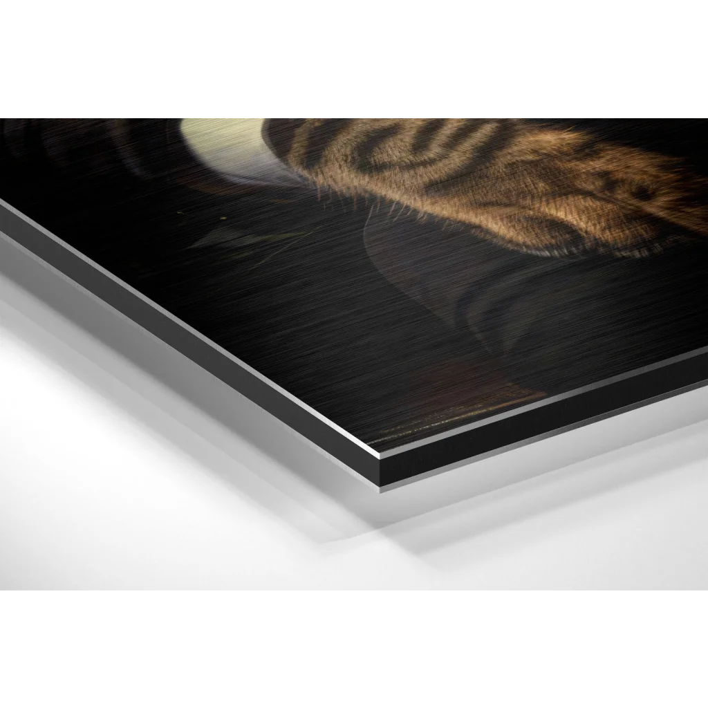 Stunning Brushed Aluminium Dibond Prints That Pop | Glass Wall Art Print | vintageantiquesgifts.com