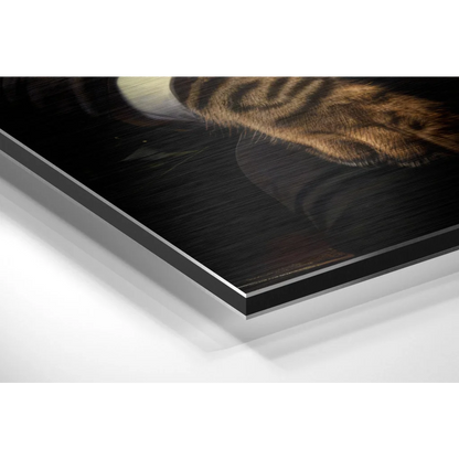 Stunning Brushed Aluminium Dibond Prints That Pop | Glass Wall Art Print | vintageantiquesgifts.com