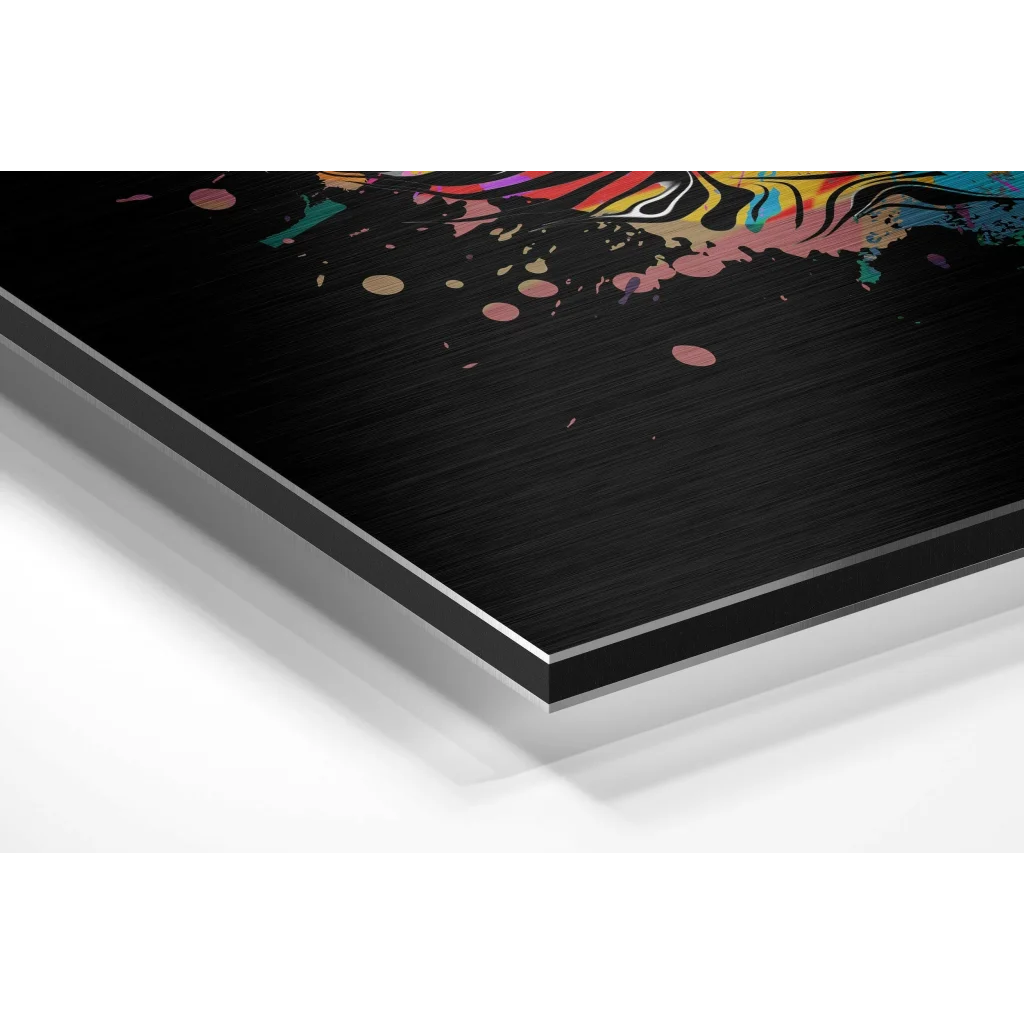 Glass Wall Art Vibrant rainbow cat splash on brushed aluminium dibond print
