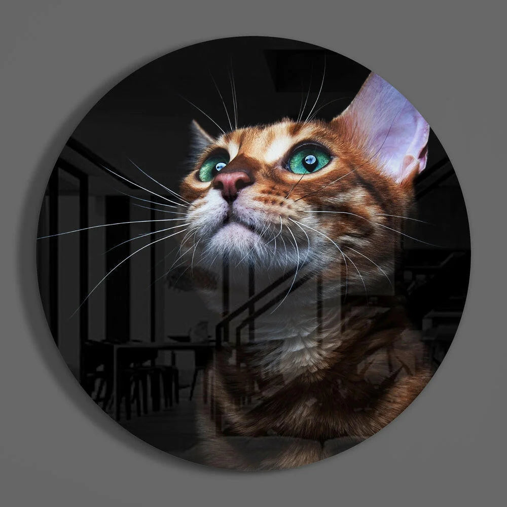 Brown tabby cat portrait in tempered glass art with vivid green eyes