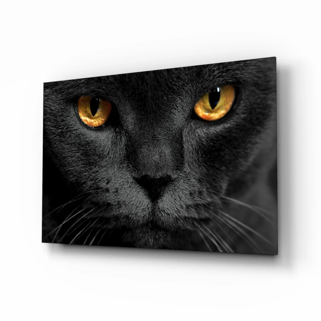 Mesmerizing Black Cat Glass Wall Art with Golden Eyes | Insigneart USA | vintageantiquesgifts.com