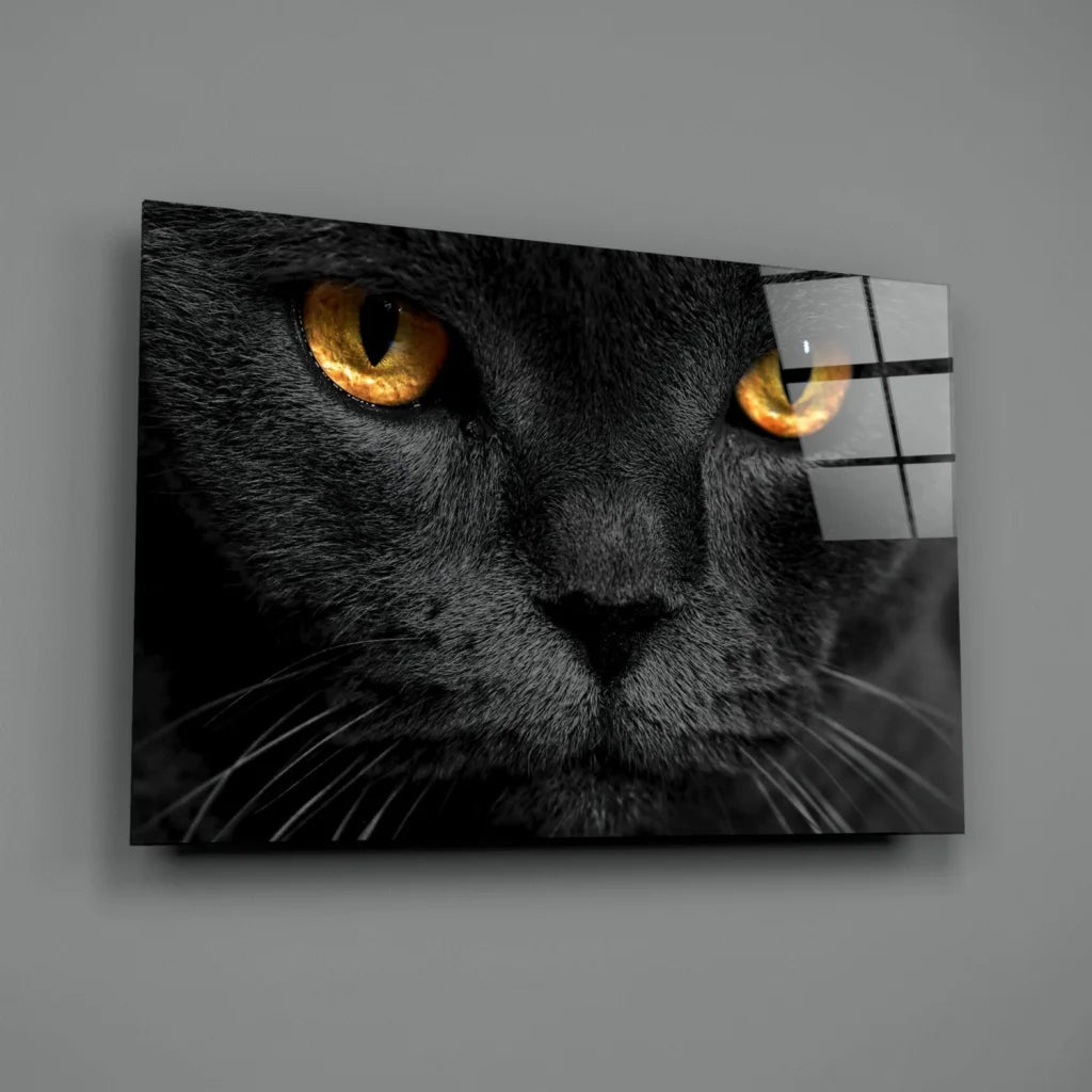 Mesmerizing Black Cat Glass Wall Art with Golden Eyes | Glass Wall Art Print | vintageantiquesgifts.com