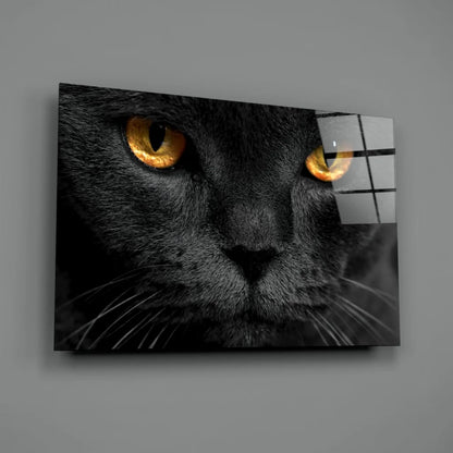 Mesmerizing Black Cat Glass Wall Art with Golden Eyes | Glass Wall Art Print | vintageantiquesgifts.com