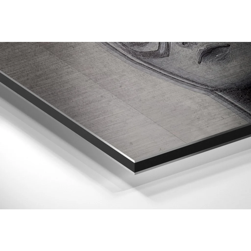 Sleek brushed aluminium dibond portrait art print with ornate grayscale face engraving
