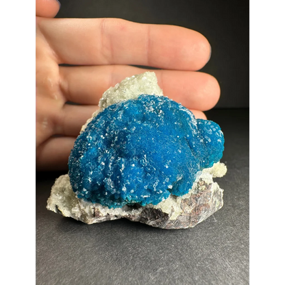 Vibrant cavansite with stilbite on white quartz matrix from Pune, India