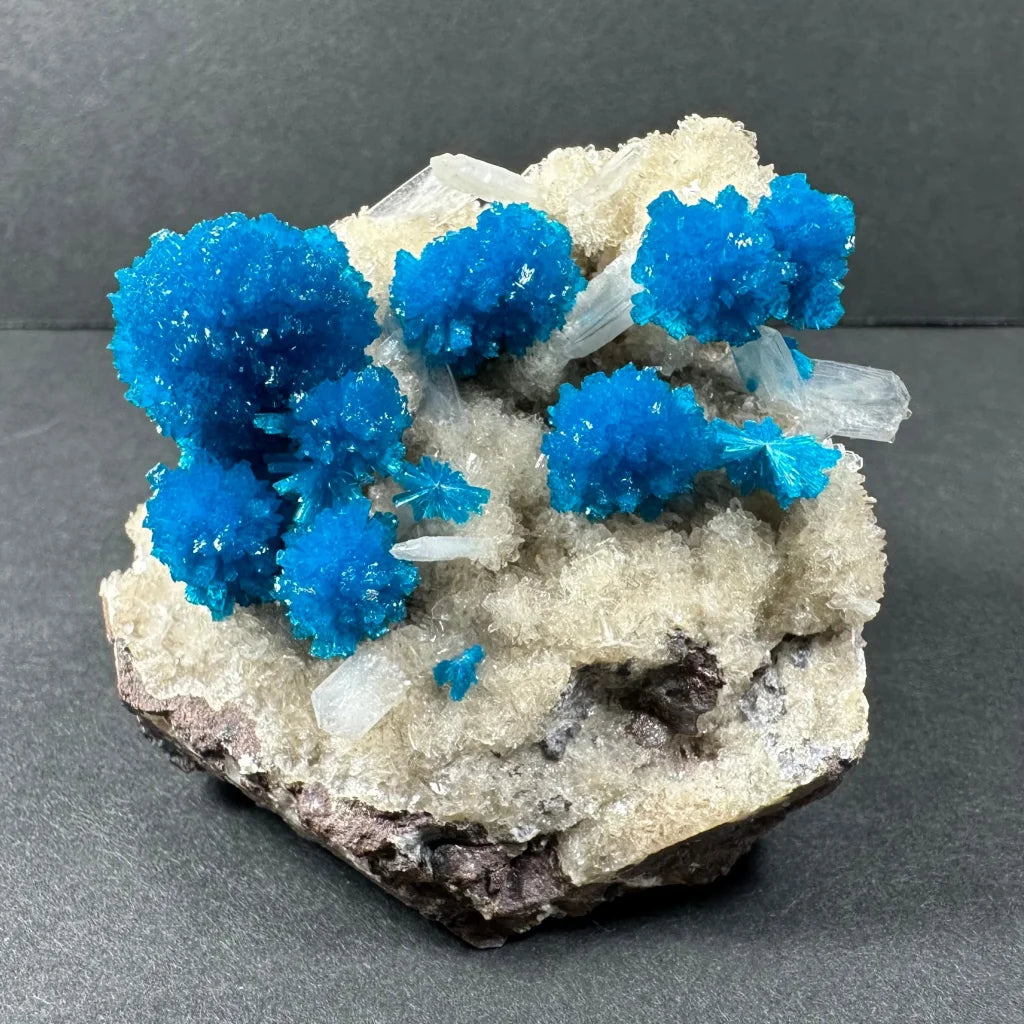 Vibrant blue cavansite and stilbite crystals on matrix from Pune, India
