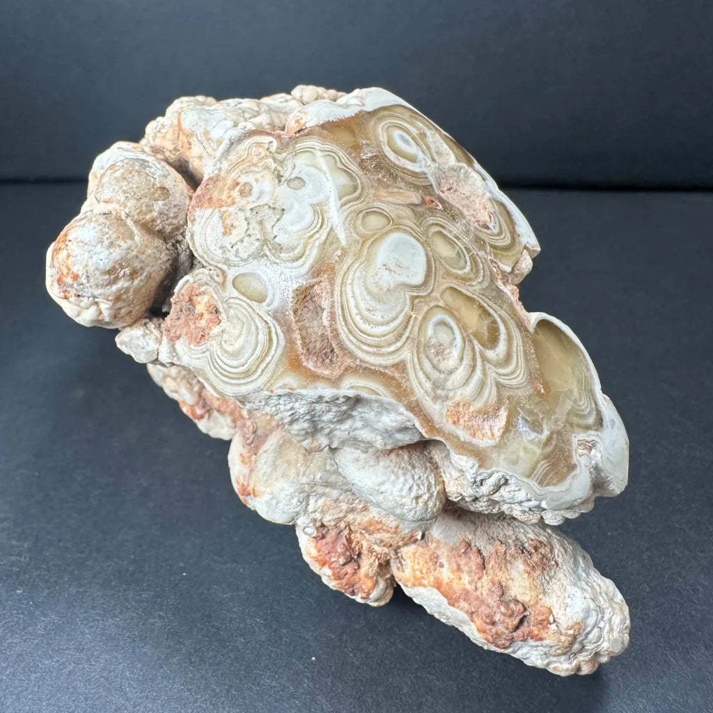 Polished cave onyx stalactite from Kokoweef Cavern, California vintage agate specimen