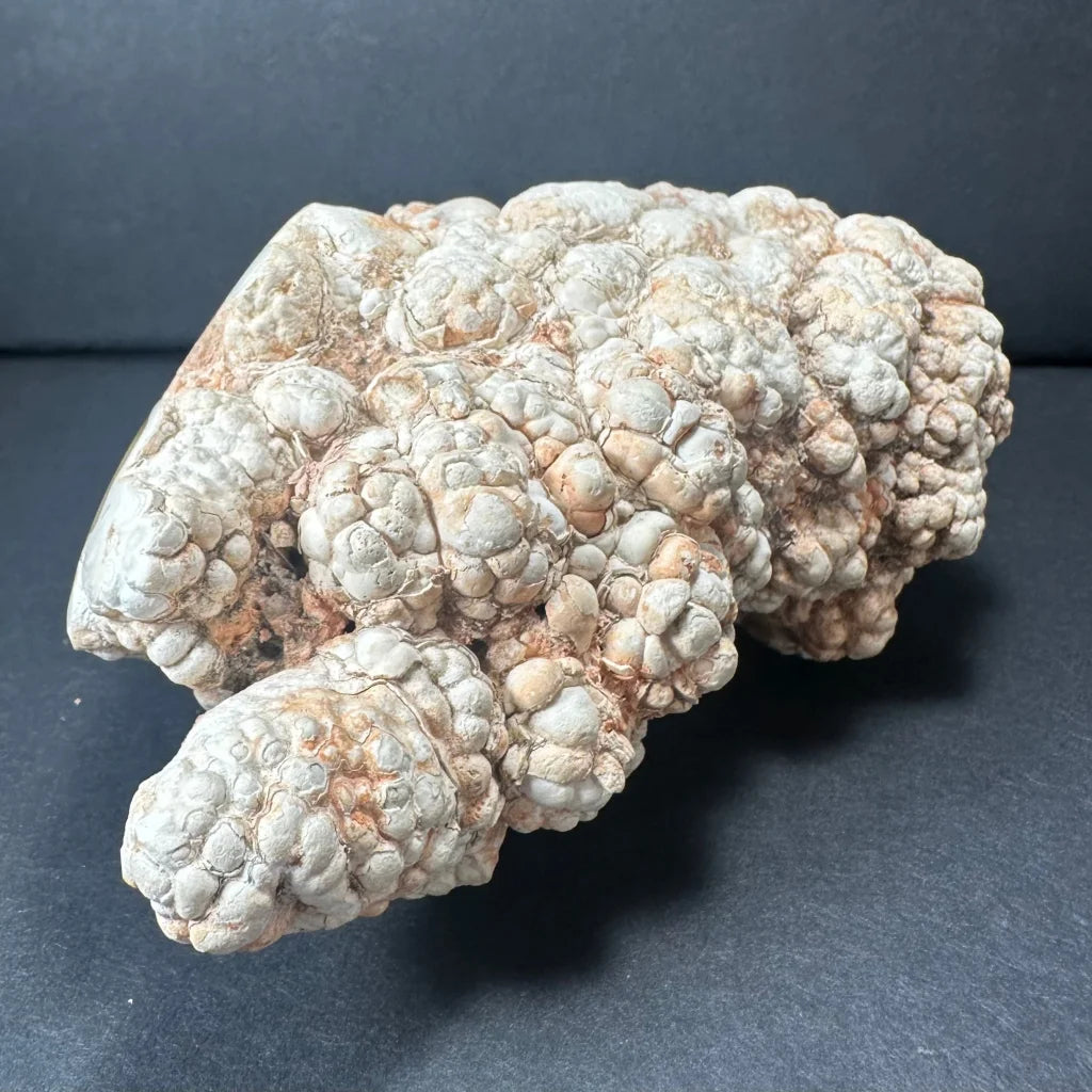 Vintage cave onyx stalactite from Kokoweef Cavern, California fossil coral