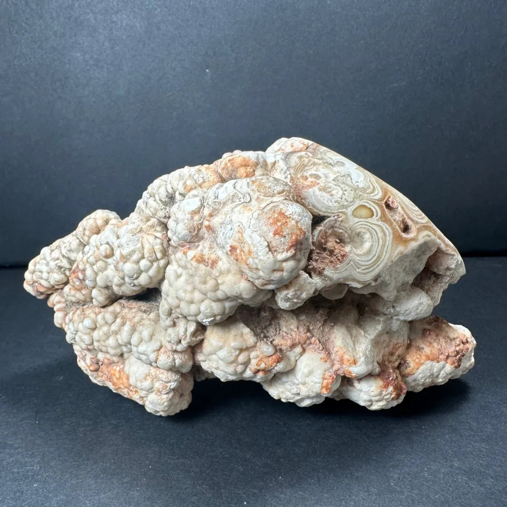 Vintage cave onyx stalactite from Kokoweef Cavern, California, with swirling white-orange agate