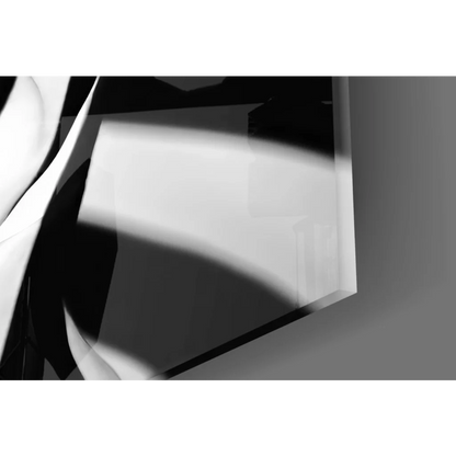 Abstract black and white geometric glass wall art canvas print