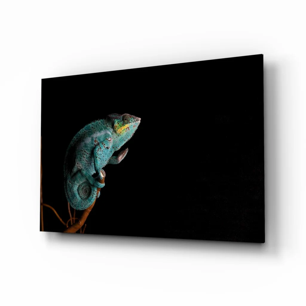 Vibrant teal chameleon glass wall art on black canvas print