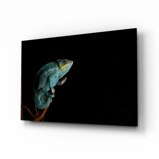 Vibrant teal chameleon glass wall art on black canvas print