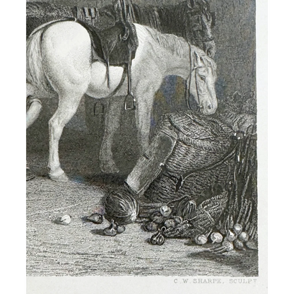 Saddled white horse grazing near produce in Charles William Sharpe country blacksmith engraving
