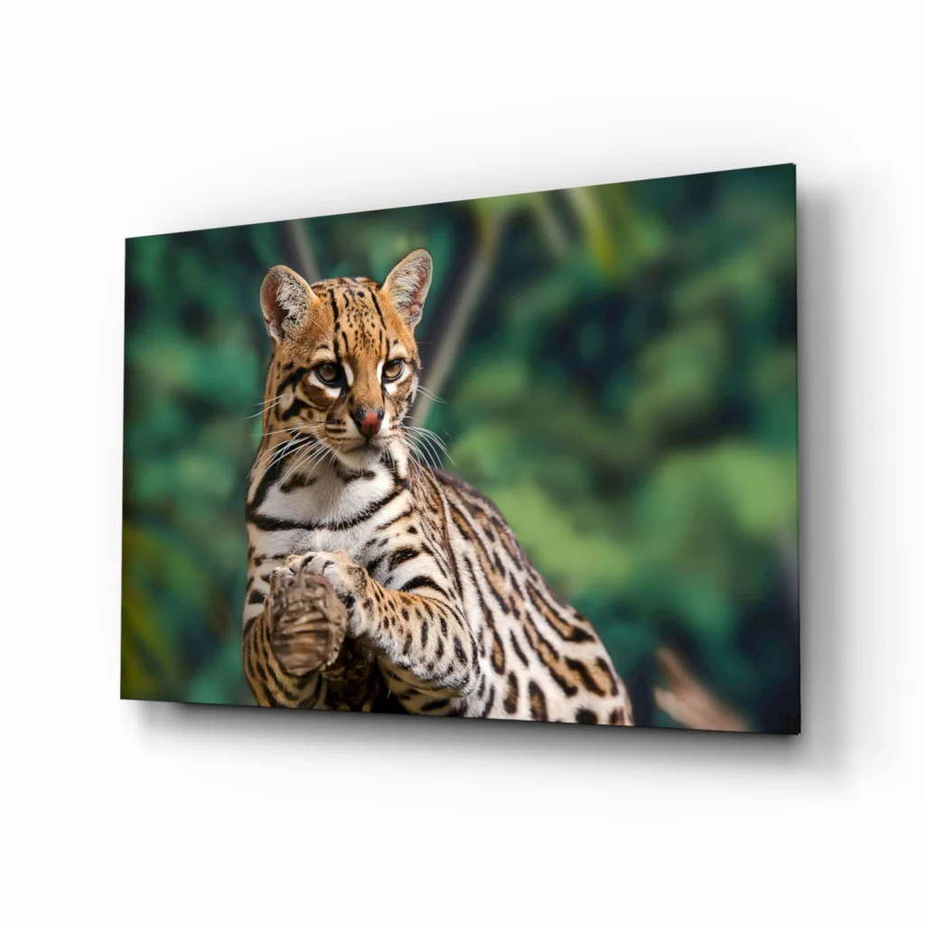 Stunning Ocelot Wall Art with Piercing Golden Eyes | Insigneart USA | vintageantiquesgifts.com