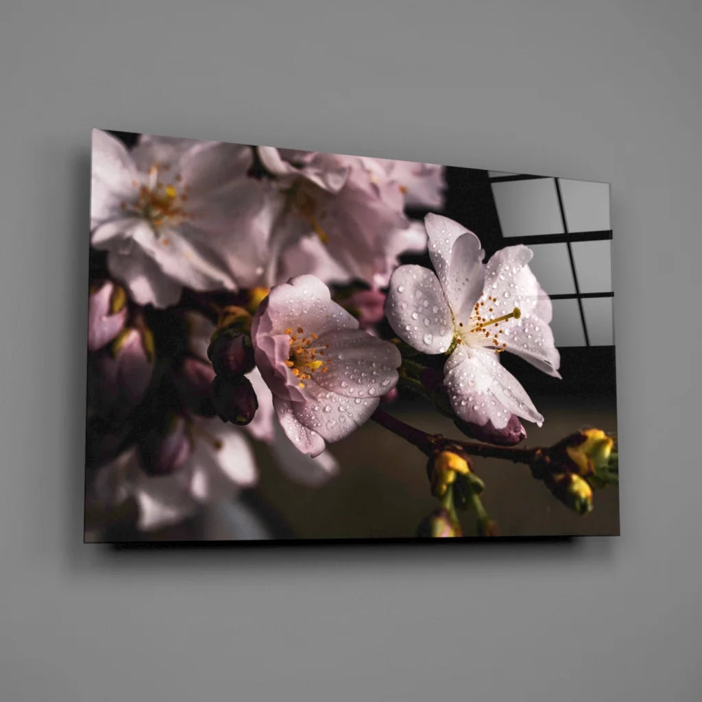 Delicate pink cherry blossom dewdrop canvas wall art with Japanese shoji screen