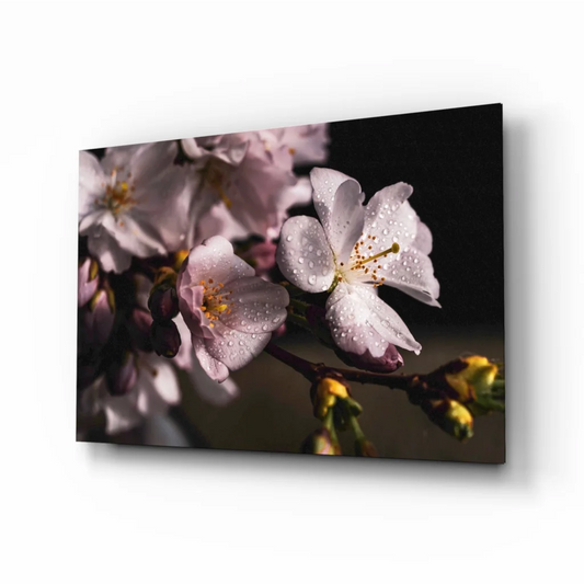 Cherry Blossom Dewdrop canvas wall art with pink blooms and dewdrops