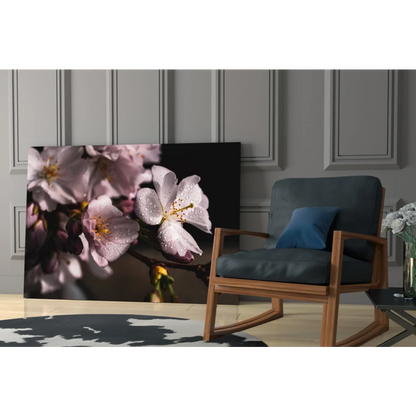 Delicate pink cherry blossoms with dewdrops in Japanese elegance wall art