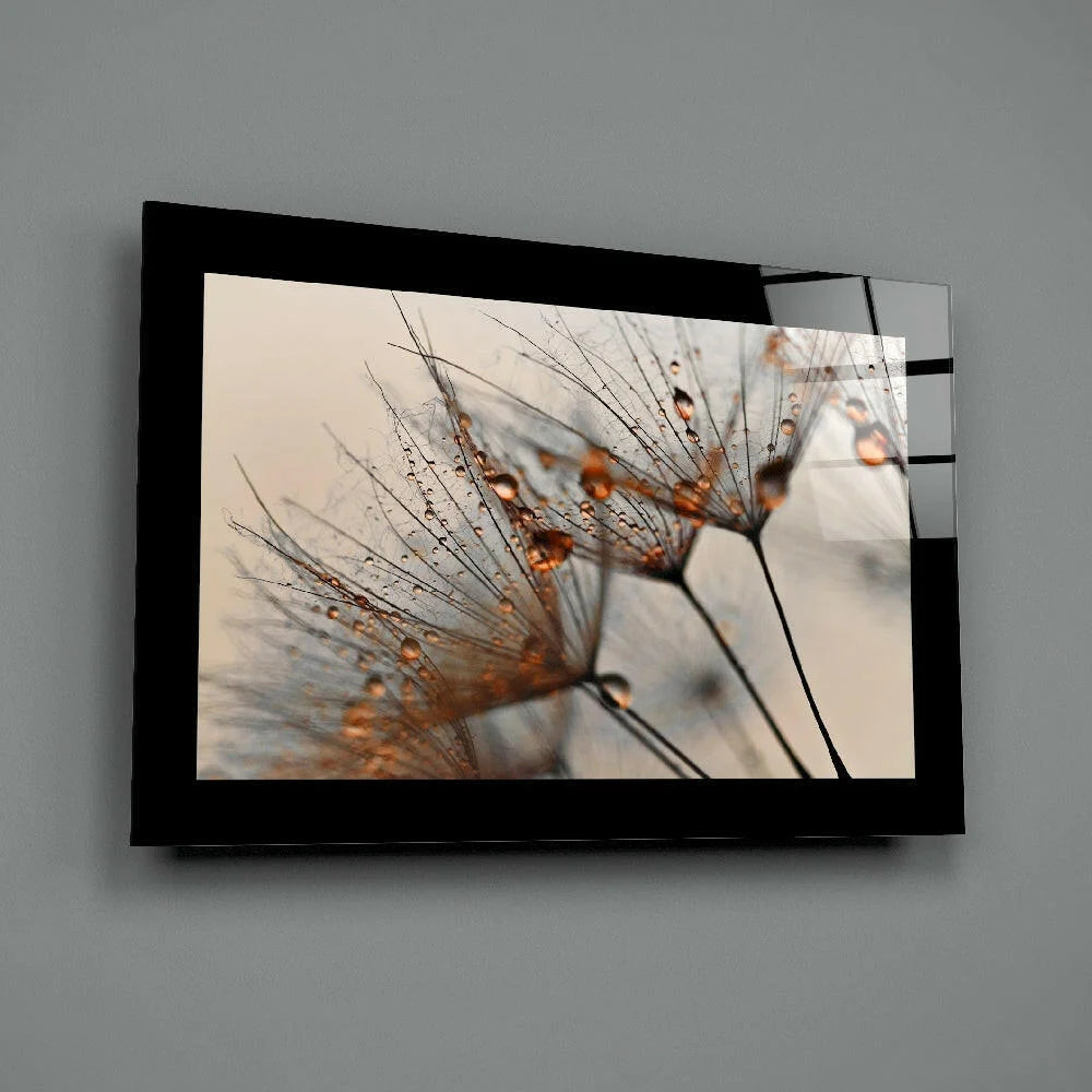 Stunning Dandelion Glass Wall Art with Dewdrops | Glass Wall Art Print | vintageantiquesgifts.com