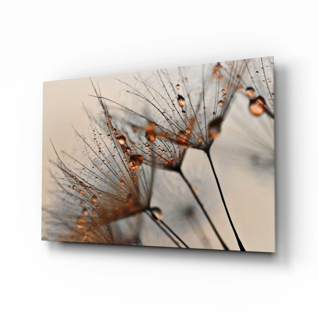 Close-up dandelion seeds with dew in amber tones, canvas wall art print