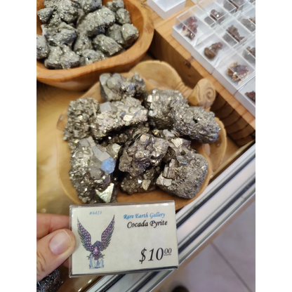Cocada pyrite price tag $10 at Rare Earth Gallery with eagle design