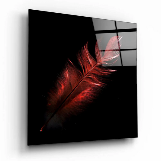 Stunning red feather glass wall art on sleek black panel