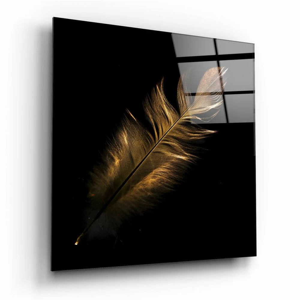 Stunning golden feather glass wall art panel on black glass