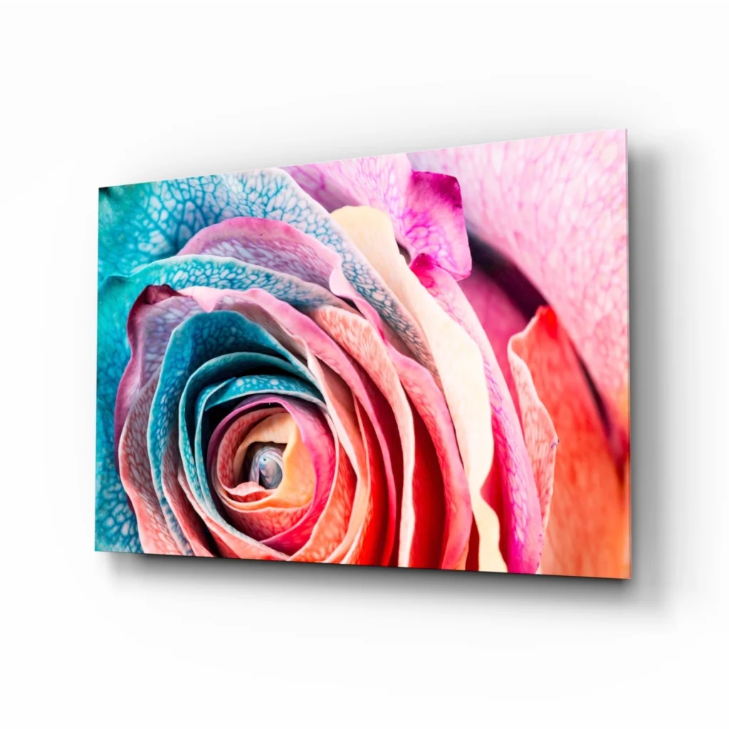 Vibrant swirling rainbow rose glass wall art canvas print in pink, red, teal, cream