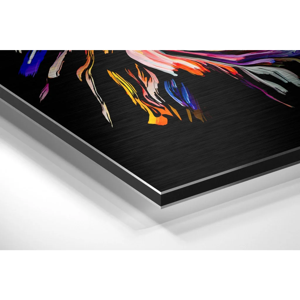 Colorful Feelings Brushed Aluminium Dibond Wall Art