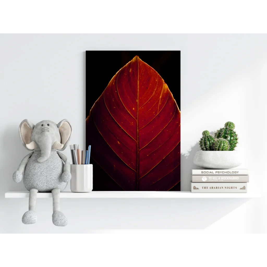 Close-up crimson leaf with golden veins on black background aluminum print