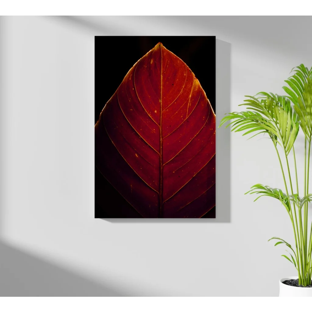 Striking crimson leaf with golden veins on aluminum print