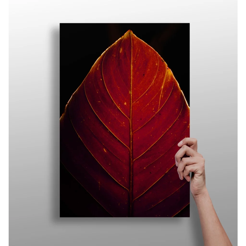 Crimson Leaf with Golden Veins Aluminum Print | Insigneart USA | vintageantiquesgifts.com