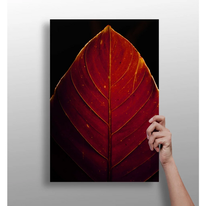 Crimson Leaf with Golden Veins Aluminum Print | Insigneart USA | vintageantiquesgifts.com