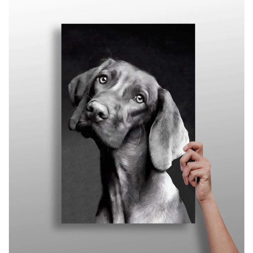 Insigne Aluminum Prints That Transform Your Walls | Insigneart USA | vintageantiquesgifts.com